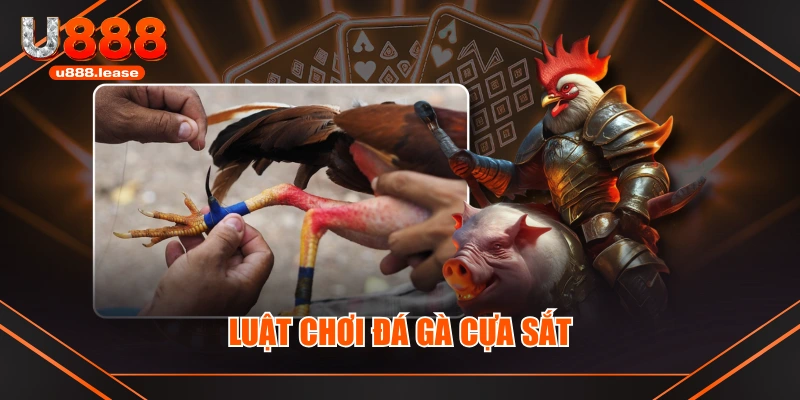 Luật chơi đá gà cựa sắt Luật chơi đá gà cựa sắt